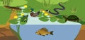 Pond biotope with different animals bird, reptile, fish, amphibians Royalty Free Stock Photo